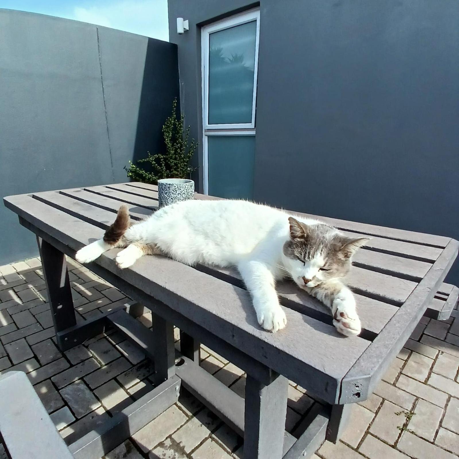 Wanderlust Private Studio Apartment Langebaan Ngoại thất bức ảnh